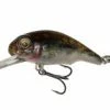 Savage Gear 3D Goby Crank 40 3.5g F 01-Goby 2 Savage Gear 3D Goby Crank 40 3.5g F 01-Goby -Fisk Tilbehør/Rekvisita Butikk 1f30381e fe19 4014 b932 1f9ef6c8c77e