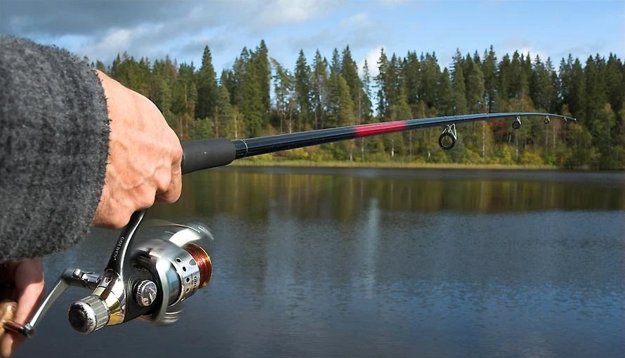 Fisk Tilbehør/Rekvisita Butikk -Fisk Tilbehør/Rekvisita Butikk 2 fiske webb