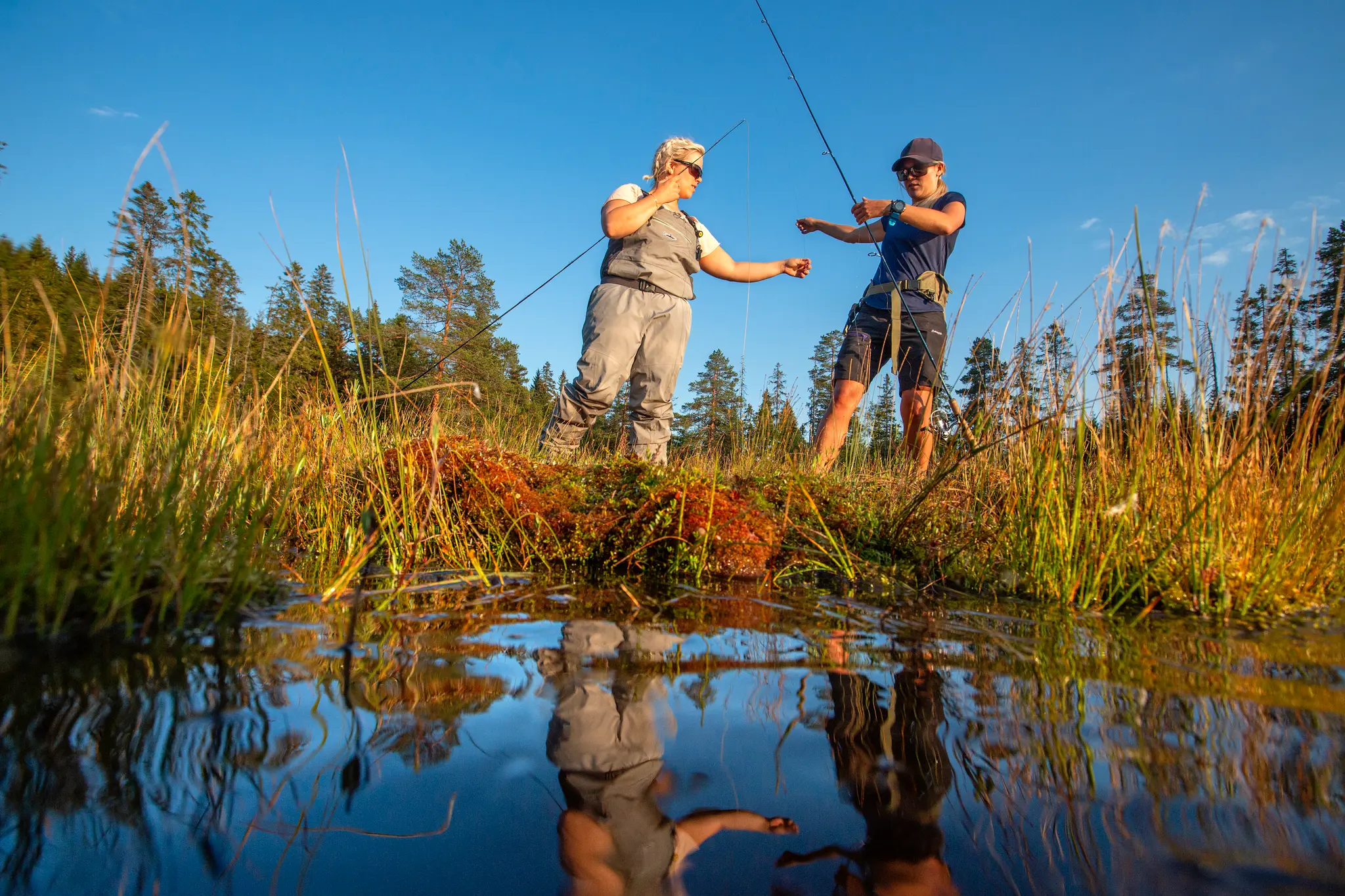 Fisk Tilbehør/Rekvisita Butikk -Fisk Tilbehør/Rekvisita Butikk 54ead7e5 999f 46fa b639 82b3ec862541