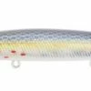 Strike Pro Strikepro Scooter Minnow Flyt 11 Cm 12 G 947 2 Strike Pro Strikepro Scooter Minnow Flyt 11 Cm 12 G 947 -Fisk Tilbehør/Rekvisita Butikk 87a53852 0bef 450e 80d5 e8582f9926c3