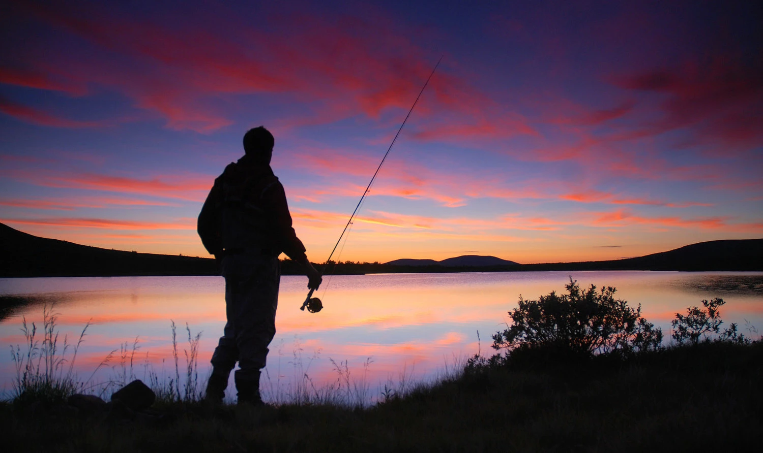 Fisk Tilbehør/Rekvisita Butikk -Fisk Tilbehør/Rekvisita Butikk Fishspot39