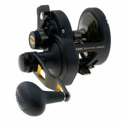PENN Fathom 25N Lever Drag 2-Speed