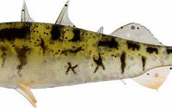 Westin Stanley The Stickleback Shadtail 7,5cm 4g Pearl Stickleback 6pcs