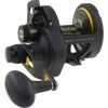 PENN Fathom 15 Lever Drag 2-Speed 2 PENN Fathom 15 Lever Drag 2-Speed -Fisk Tilbehør/Rekvisita Butikk ecf00bc9 f8ad 451a 8347 5040d6887afe